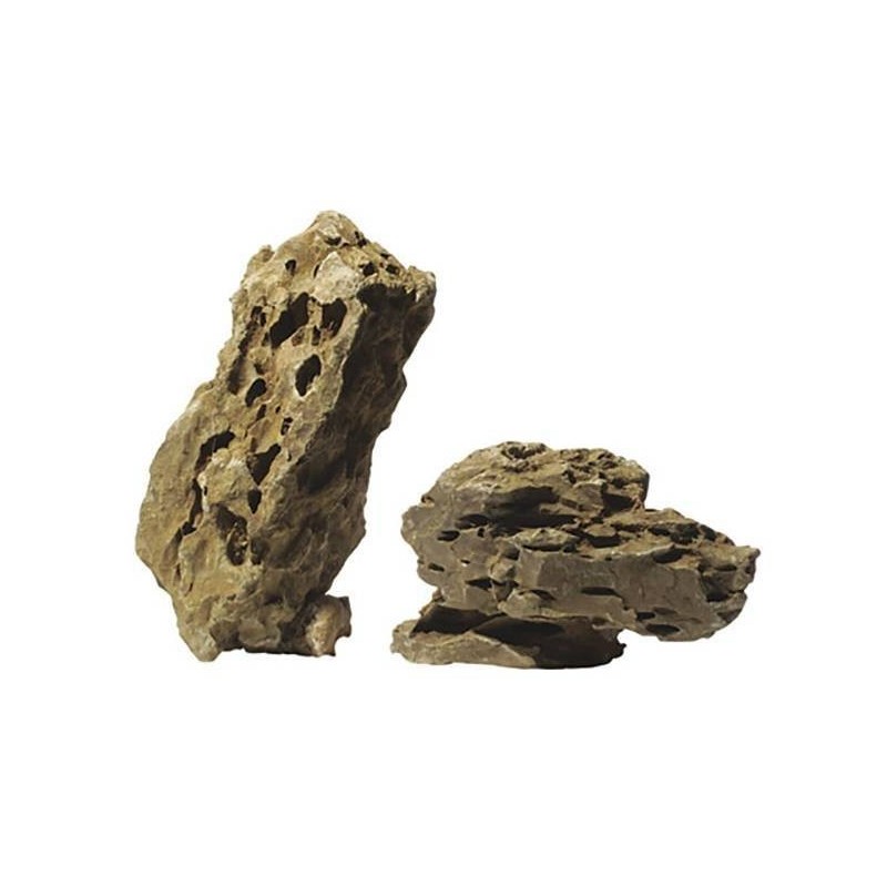 Pierre Dragon 2,3-2,7 kg