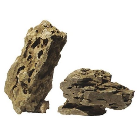 Pierre Dragon 2,3-2,7 kg