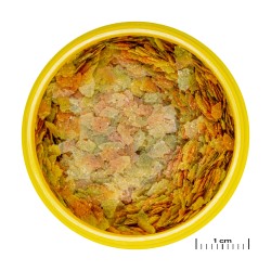 JBL ProNovo BETTA FLAKES S 100ml