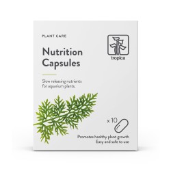 Nutrition Capsules 10 pcs