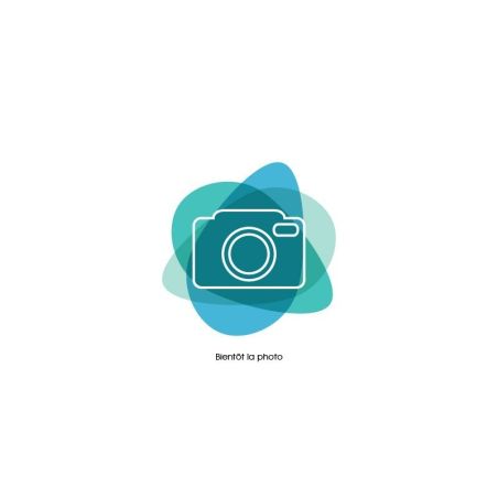 Escargot Pagode - Neritina Sp.