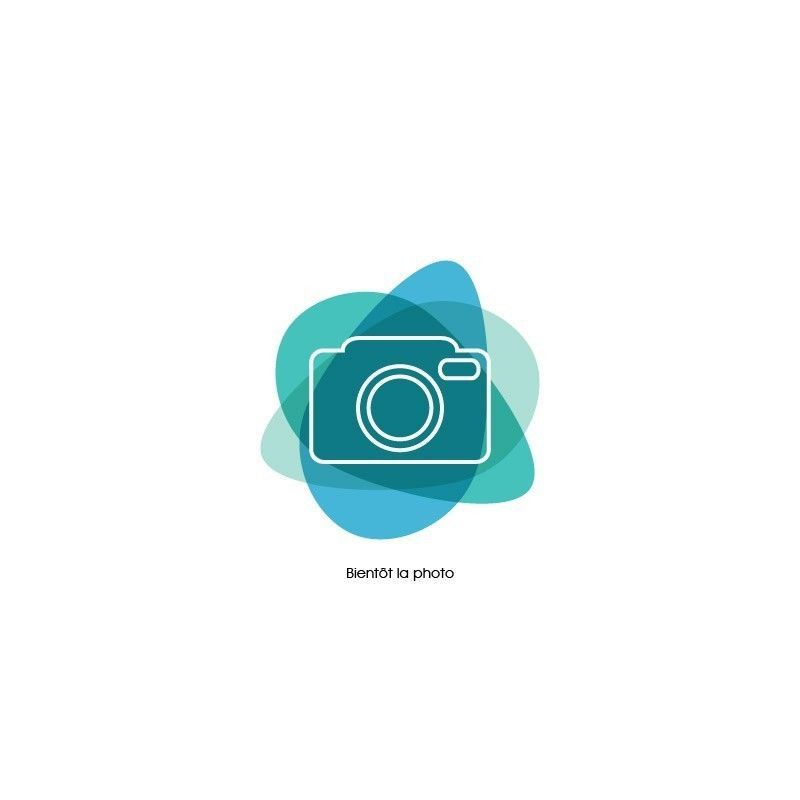 Cichlidé Citron Mâle - Labidochromis Caeruleus Sp. Yellow