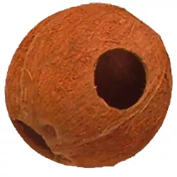 Kopie von Cocos Cava 1/2 M