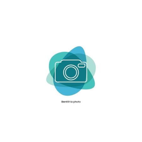 Taxiphyllum sp. 'Spiky Moss'