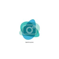 Cichlidé Zèbre Bleu Ob Du Masinje - Pseudotropheus Zebra Masinje Blue Ob