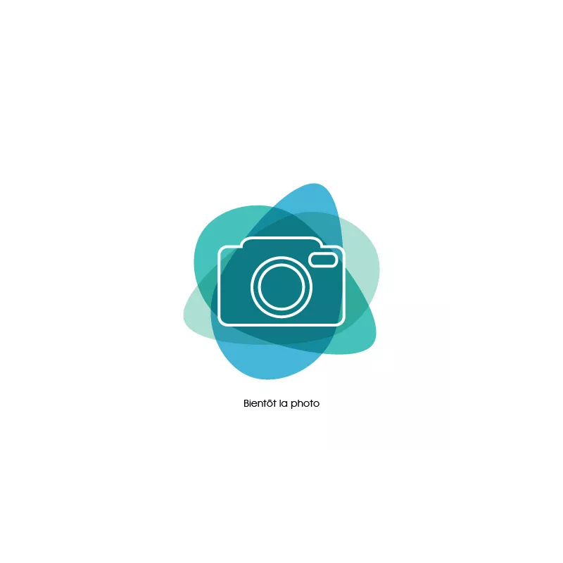 Zebrabuntbarsch - Cichlasoma Nigrofasciatum