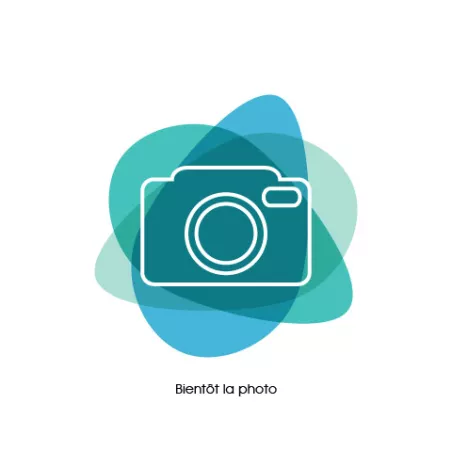 Cichlid Zebbré - Cichlasoma Nigrofasciatum