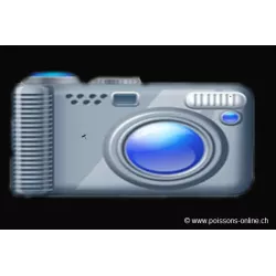 Labidochromis Hongi Red Top - Labidochromis Hongi Red Top